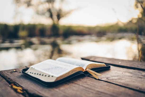 Látás